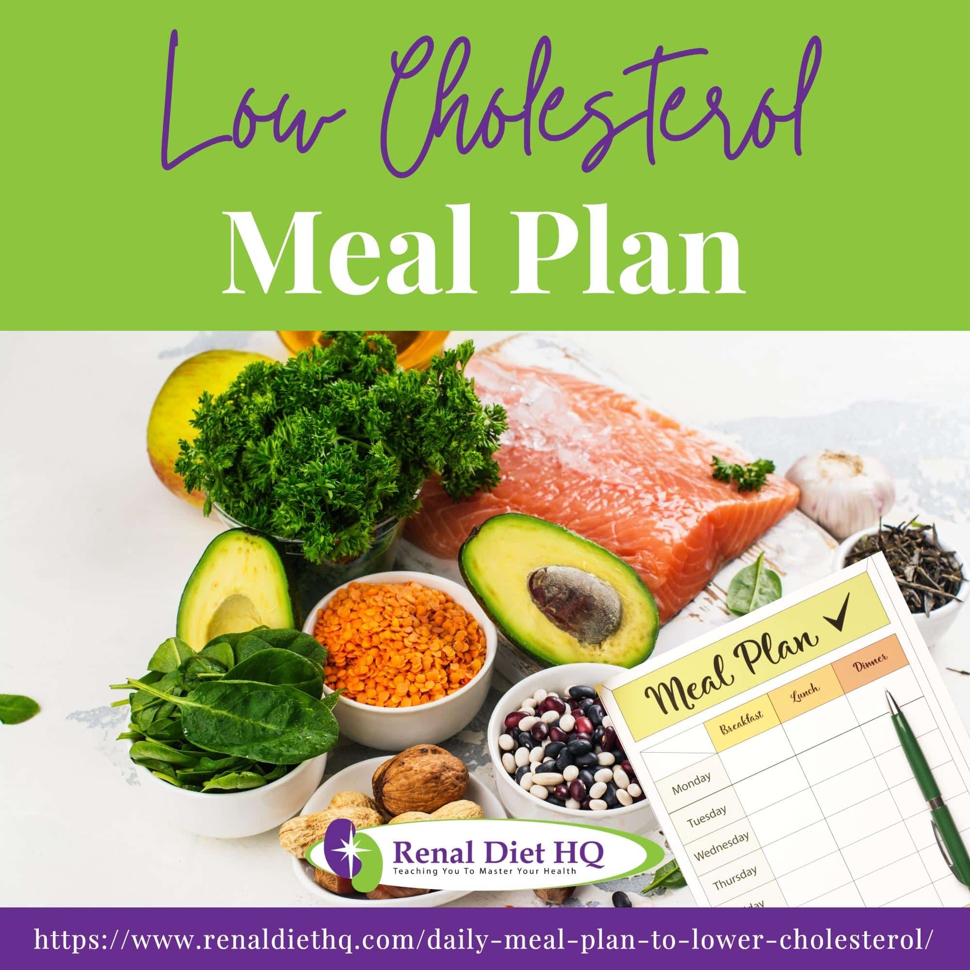 Low cholesterol food - Avocado, Lettuce, Salmon, Spinach and Beans with Meal plan sheet