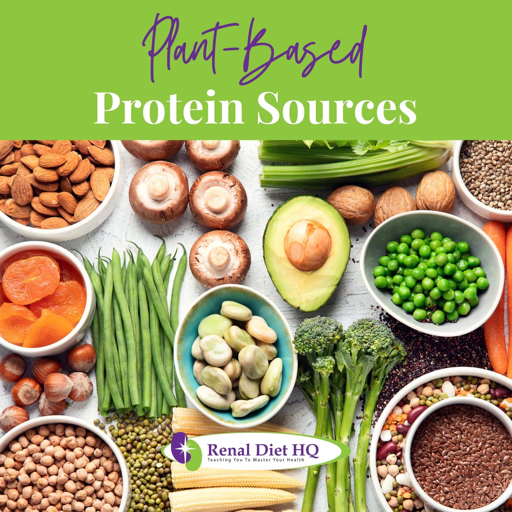 Food sources of plant based protein. Legumes, dried fruits, seeds, nuts and vegetables.