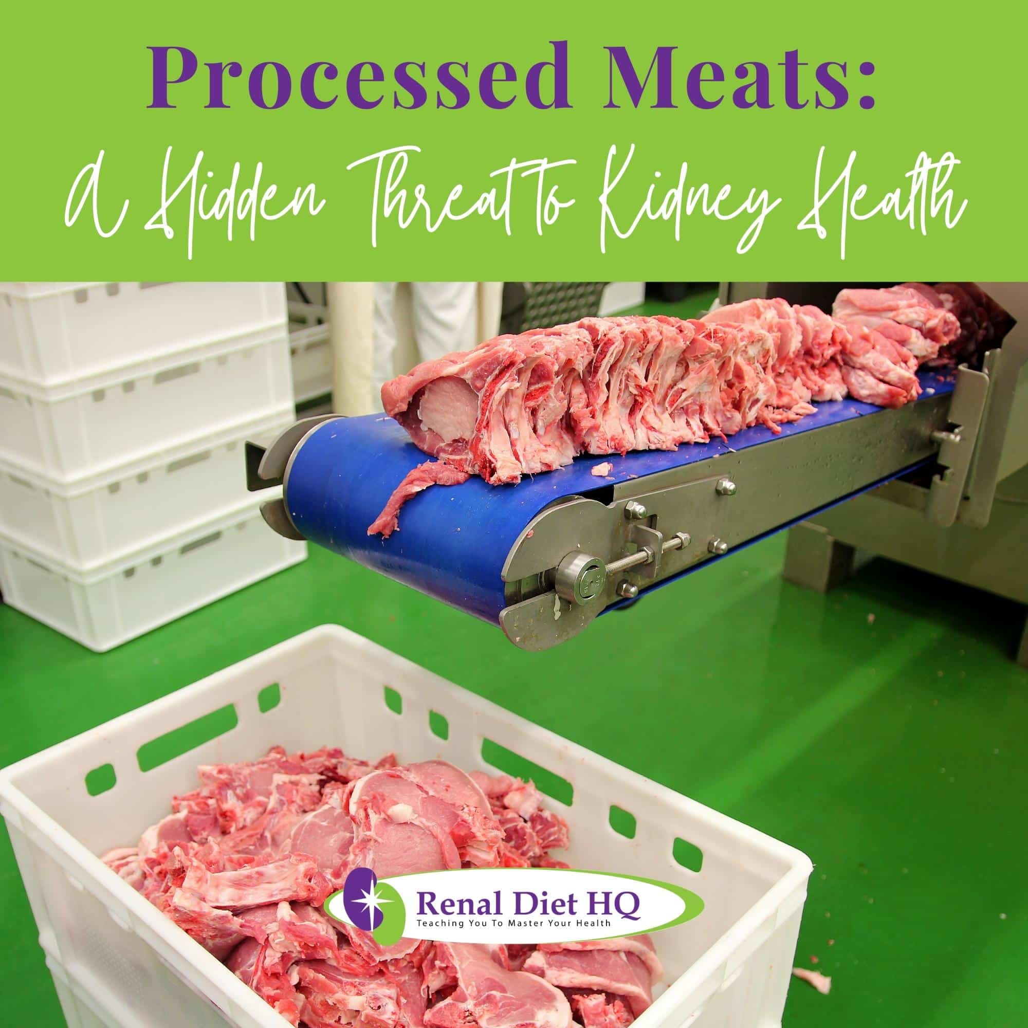  Raw meats cuts on a industrial conveyor belt.