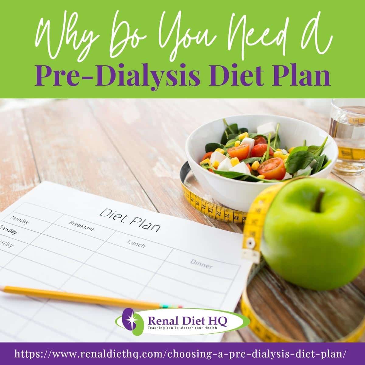 Diet Plan sheet with bowl of salad and green apple