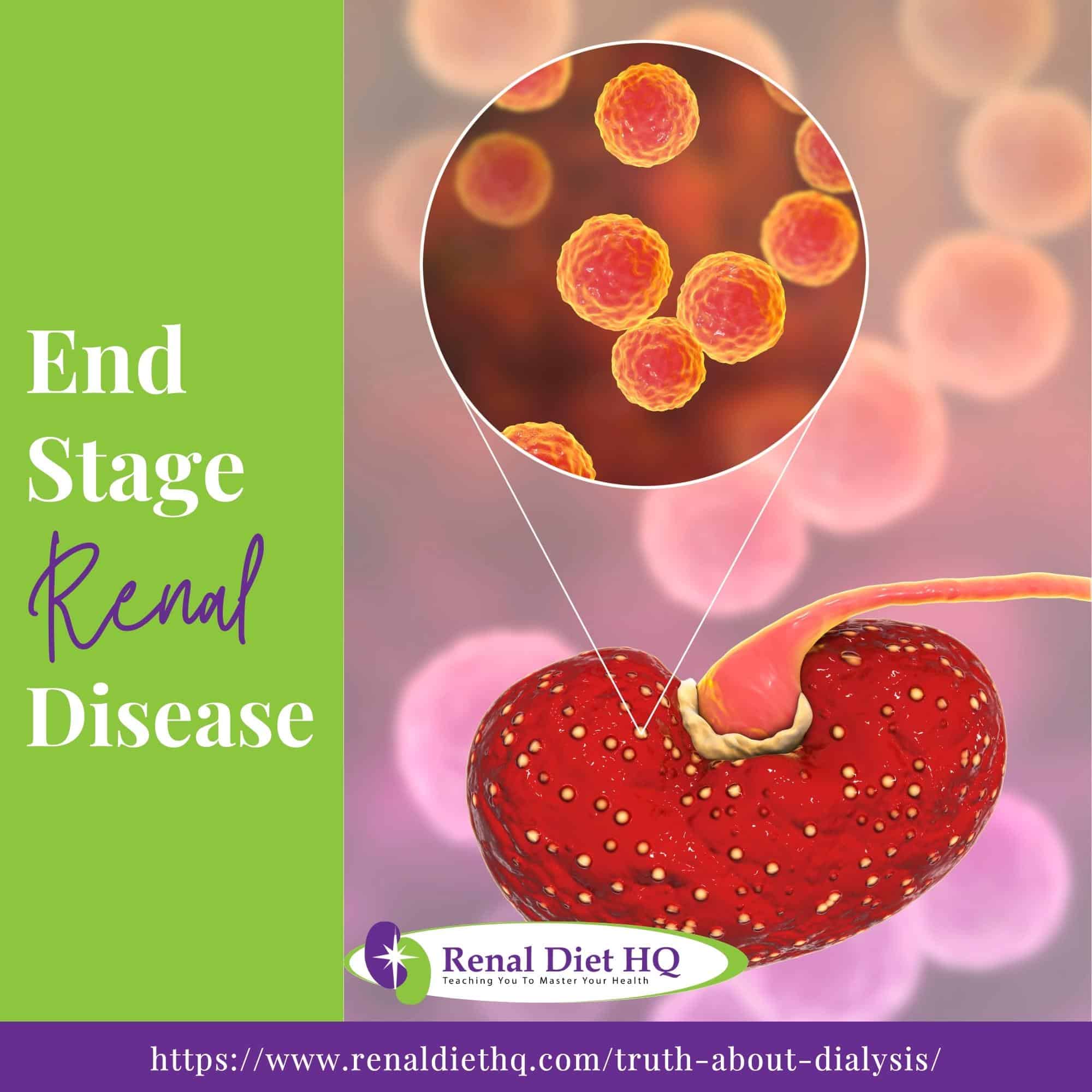 a red kidney cell is surrounded by red blood cells