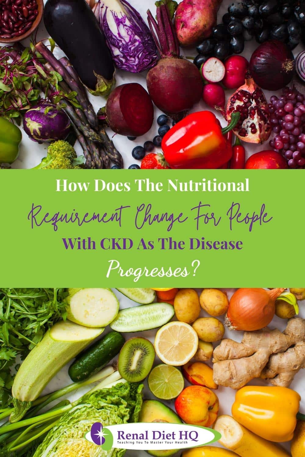 Realistic Meal Plans For People With CKD Renal Diet HQ How Does The Nutritional Requirement Change For People With CKD As The Disease Progresses