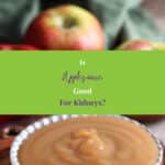 natural organic applesauce in a serving dish