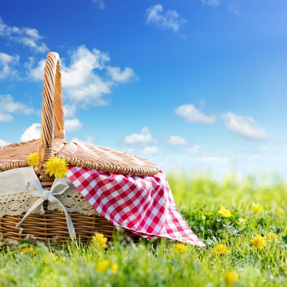 Picnic Basket with checkered pattern clothe inside