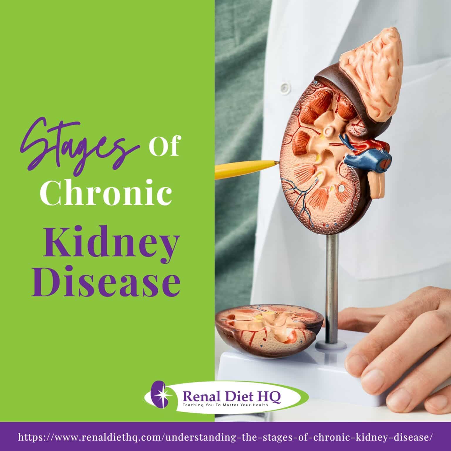Stages Of Chronic Kidney Disease - Renal Diet HQ