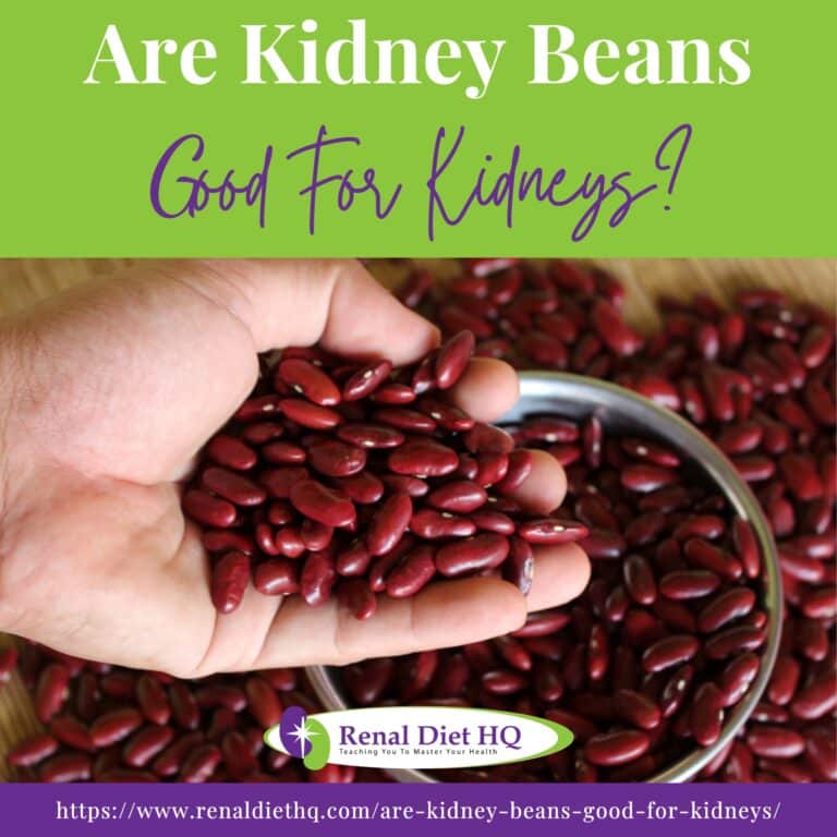 Are Kidney Beans Good for Kidneys? - Renal Diet HQ