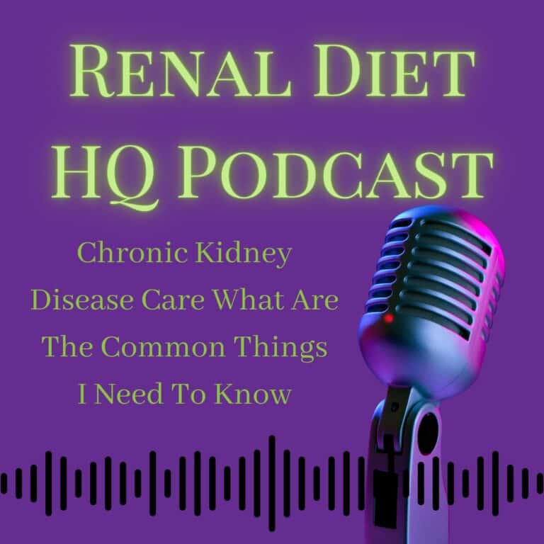 Renal Diet HQ Podcast Chronic Kidney Disease Care What Are The Common Things I Need To Know.
