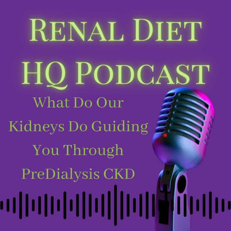 RENAL DIET HQ PODCAST What Do Our Kidneys Do Guiding You Through PreDialysis CKD.