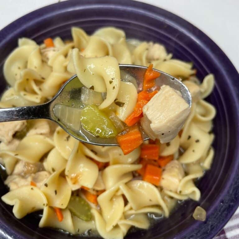 Close Up Of low-SodiumChicken-Noodle-Soup-1.