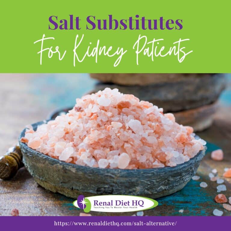 Salt Substitutes for Kidney Patients Renal Diet HQ