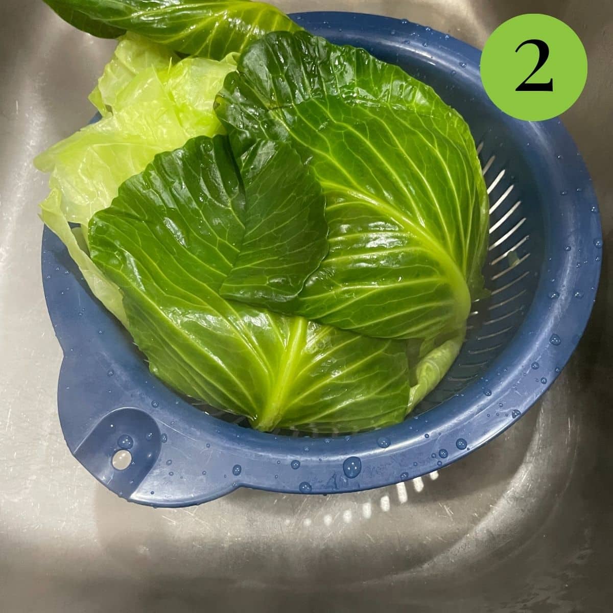 Step 2 remove cabbage leaves and boil.