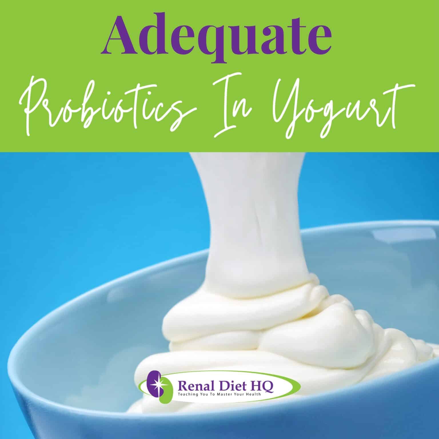 Best Yogurt for Kidney Disease Renal Diet HQ