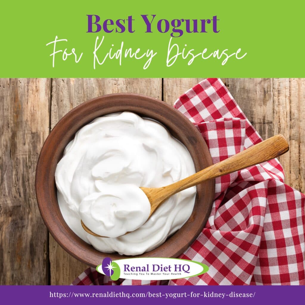 Best Yogurt for Kidney Disease Renal Diet HQ