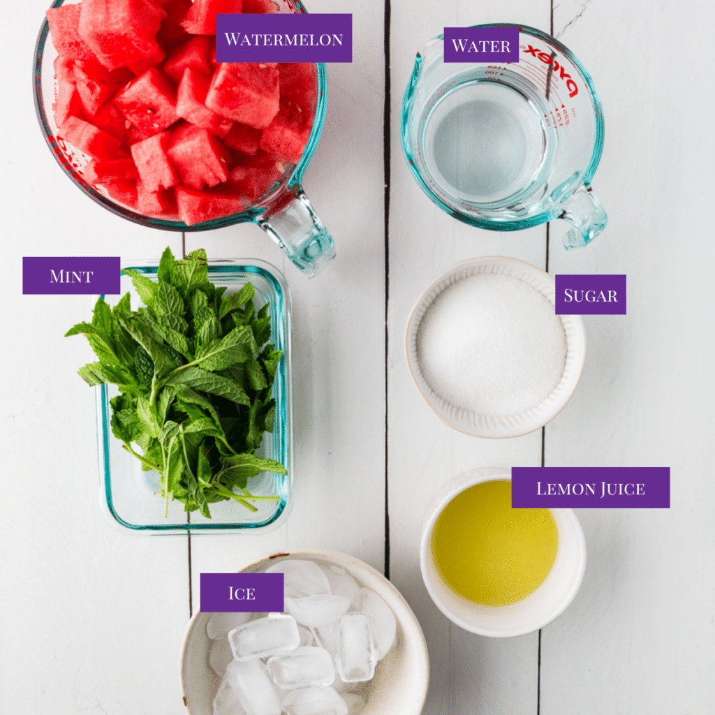 Watermelon Mint Lemonade Renal Diet HQ