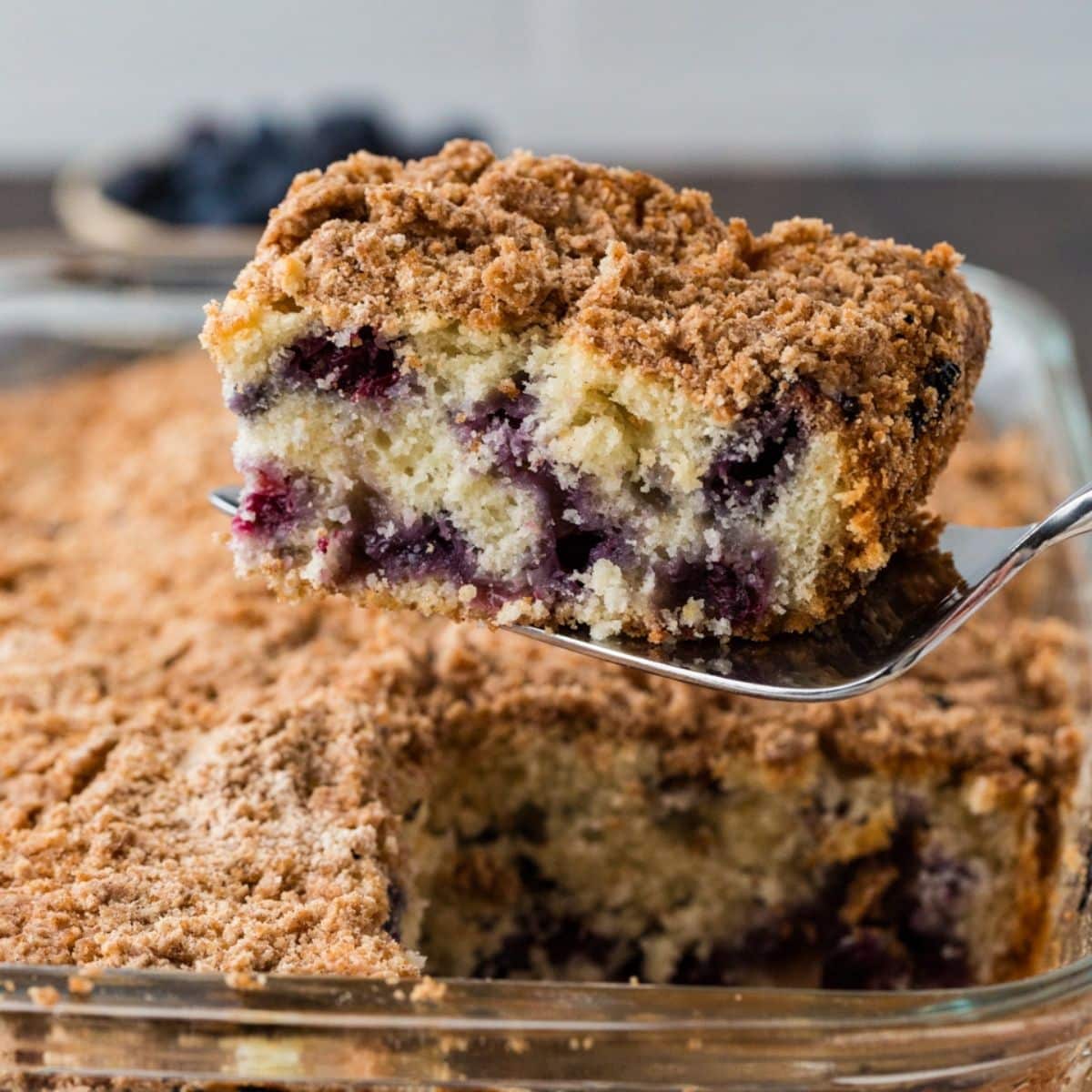 close up of  Blueberry Coffee-Cake