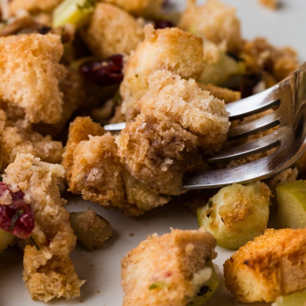 Close Up Of Cranberry Apple Walnut Stuffing