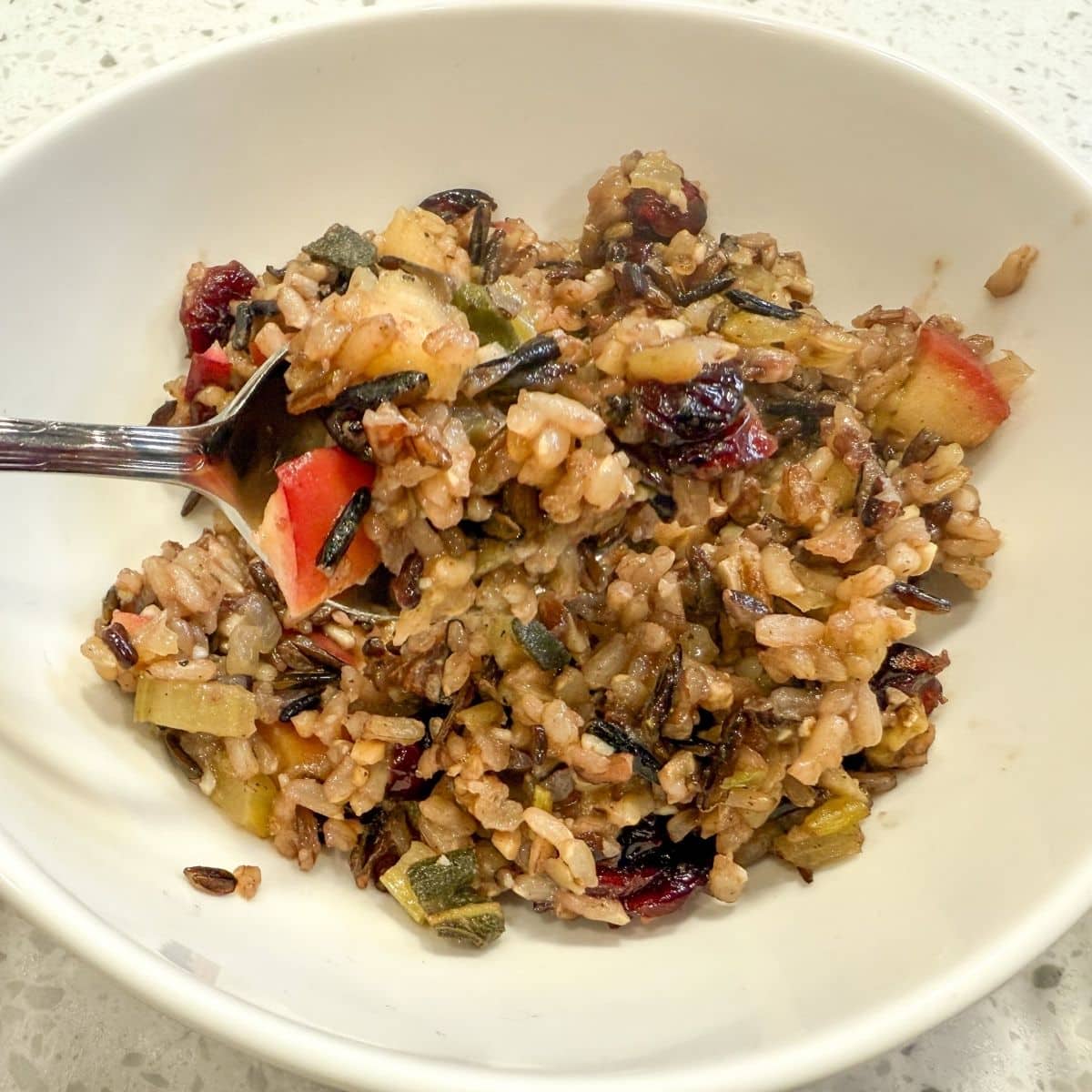 Close Up Of Wild Rice Stuffing