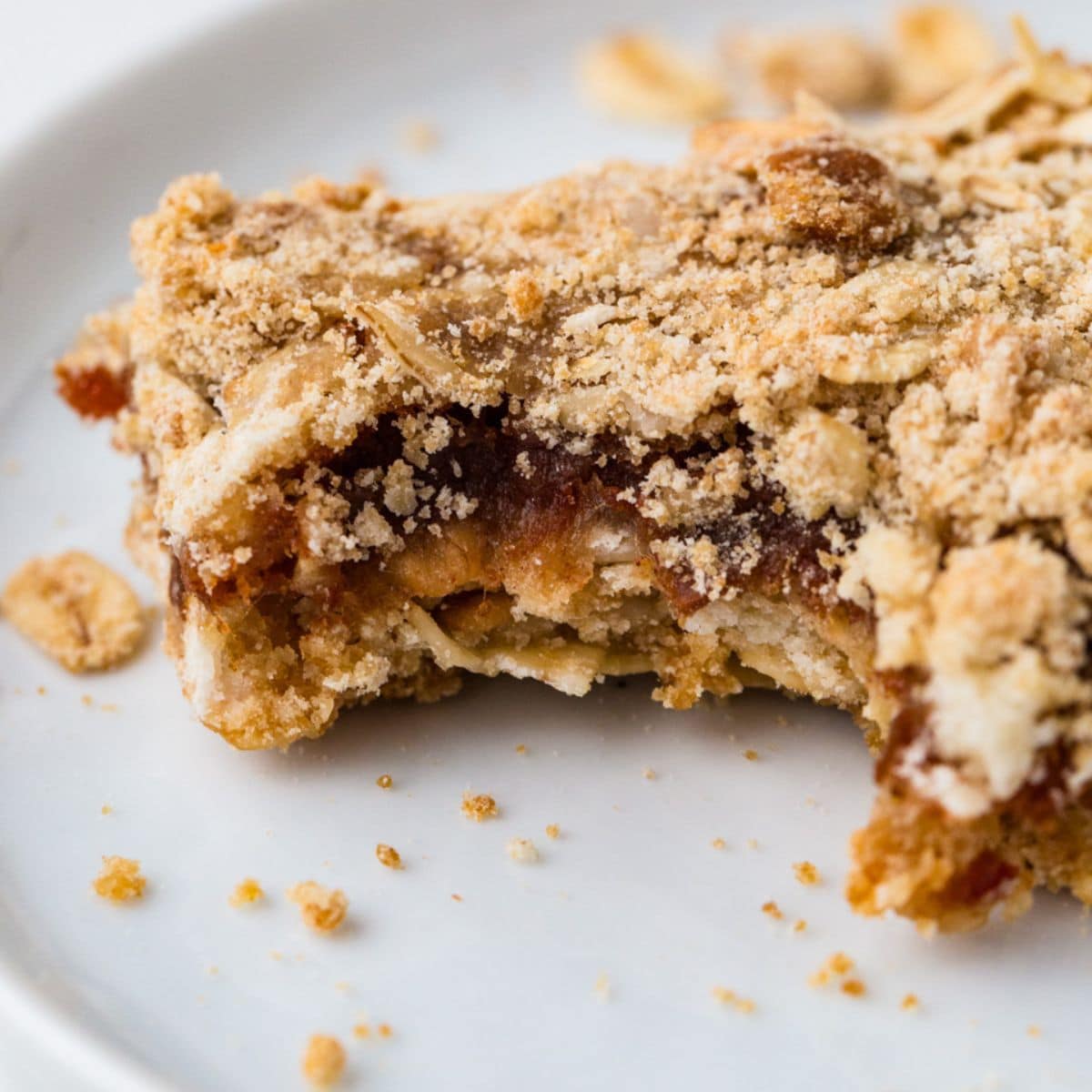 Close Up Of Healthy Oatmeal Date Bars