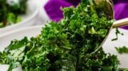 Close Up Of Kale and Pomegranate Salad