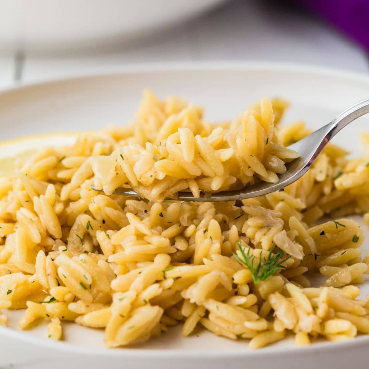 Perfectly done Of Orzo Pilaf 