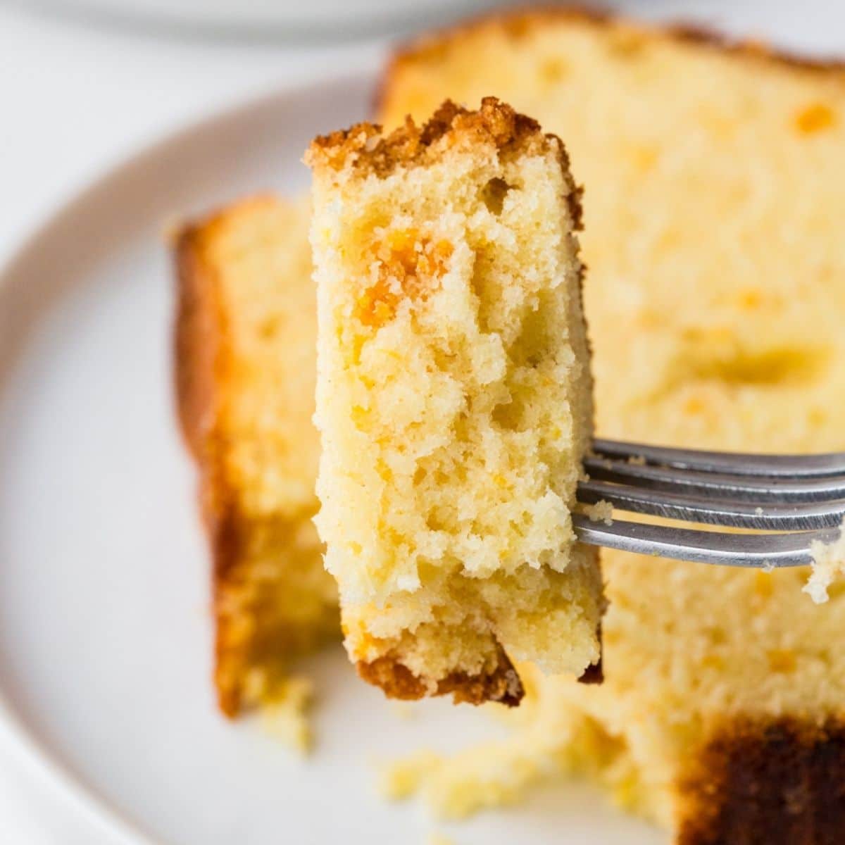 Close Up Of Tangerine Cake