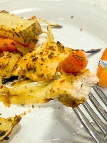 Close Up Of Baked Chicken and Root Vegetables